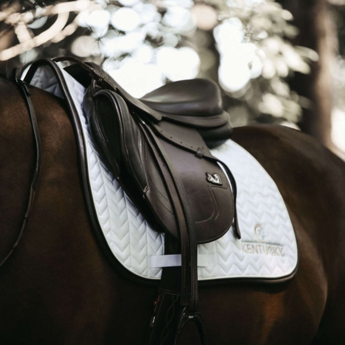 Kentucky Horsewear Mantilla de Salto Fishbone Cuero Blanco