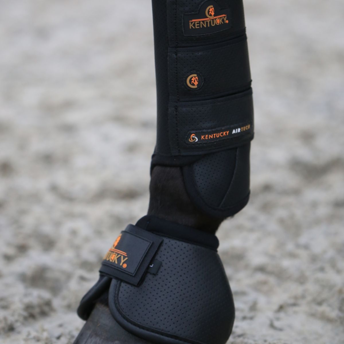 Kentucky Horsewear Botas de Campana Air Tech Negro