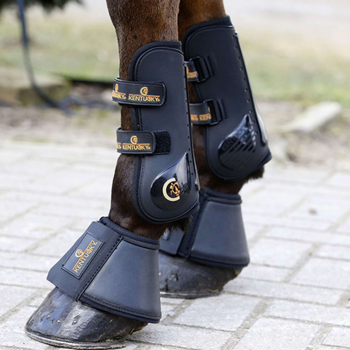 Kentucky Horsewear Botas de Campana Cuero Negro