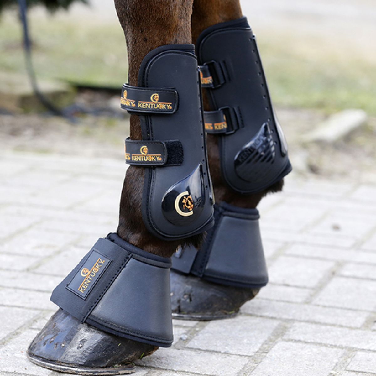 Kentucky Horsewear Botas de Campana Cuero Negro