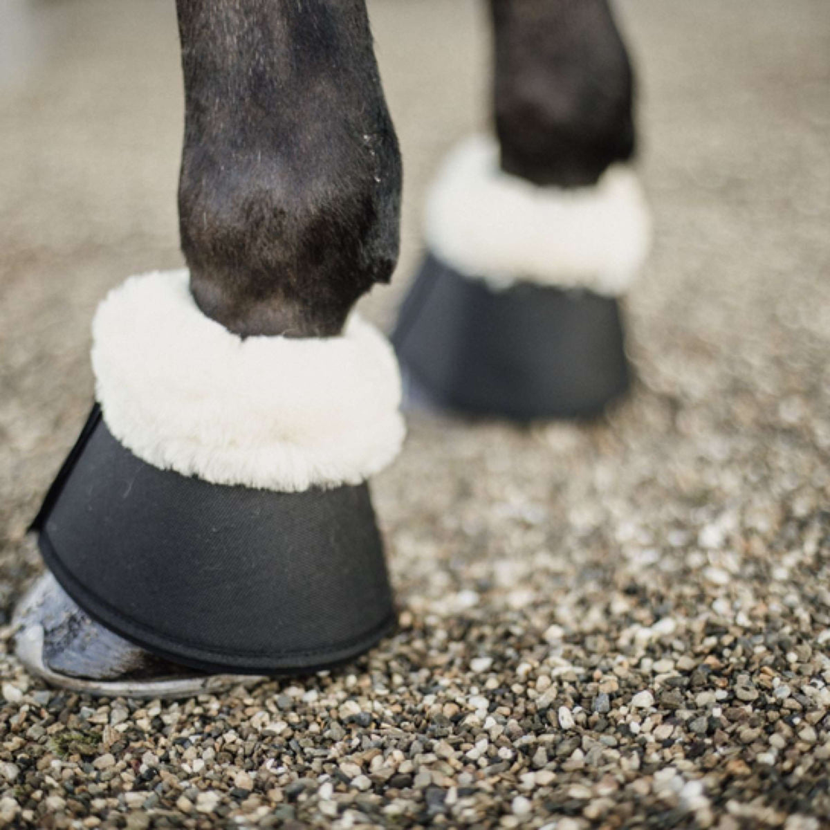 Kentucky Horsewear Botas de Campana Sheepskin Negro
