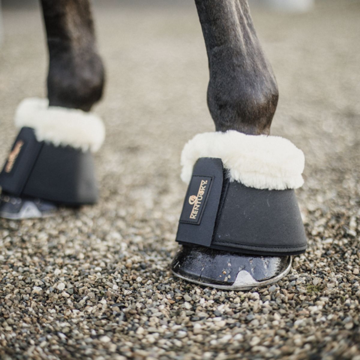 Kentucky Horsewear Botas de Campana Sheepskin Negro