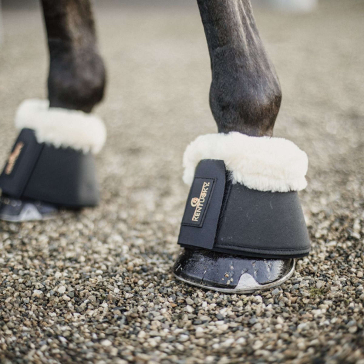 Kentucky Horsewear Botas de Campana Sheepskin Negro