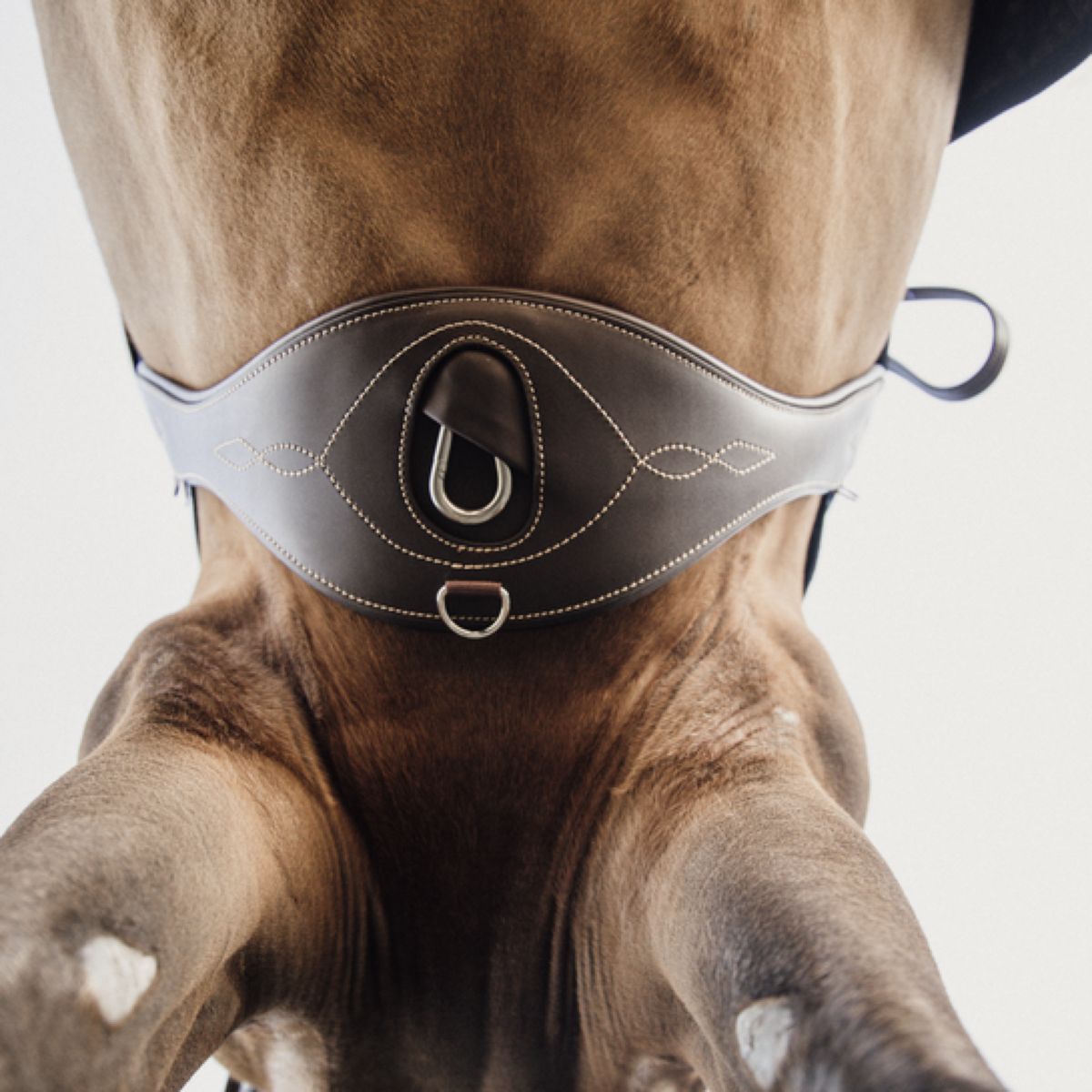 Kentucky Horsewear Cincha de Salto Anatómico Marron