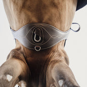 Kentucky Horsewear Cincha de Salto Anatómico Marron