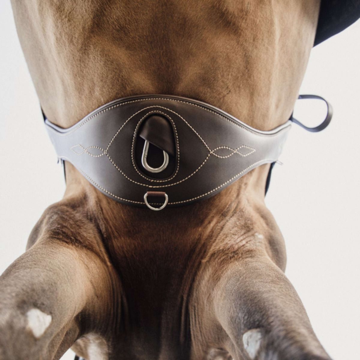 Kentucky Horsewear Cincha de Salto Anatómico Marron