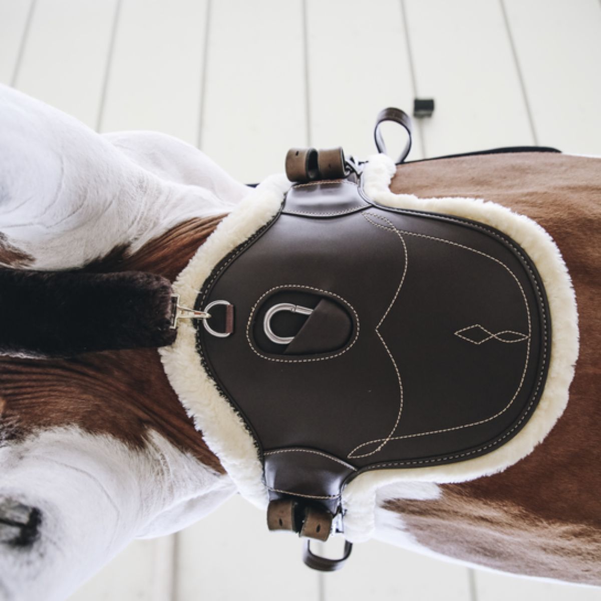 Kentucky Horsewear Cincha de Salto Marron