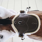 Kentucky Horsewear Cincha de Salto Marron