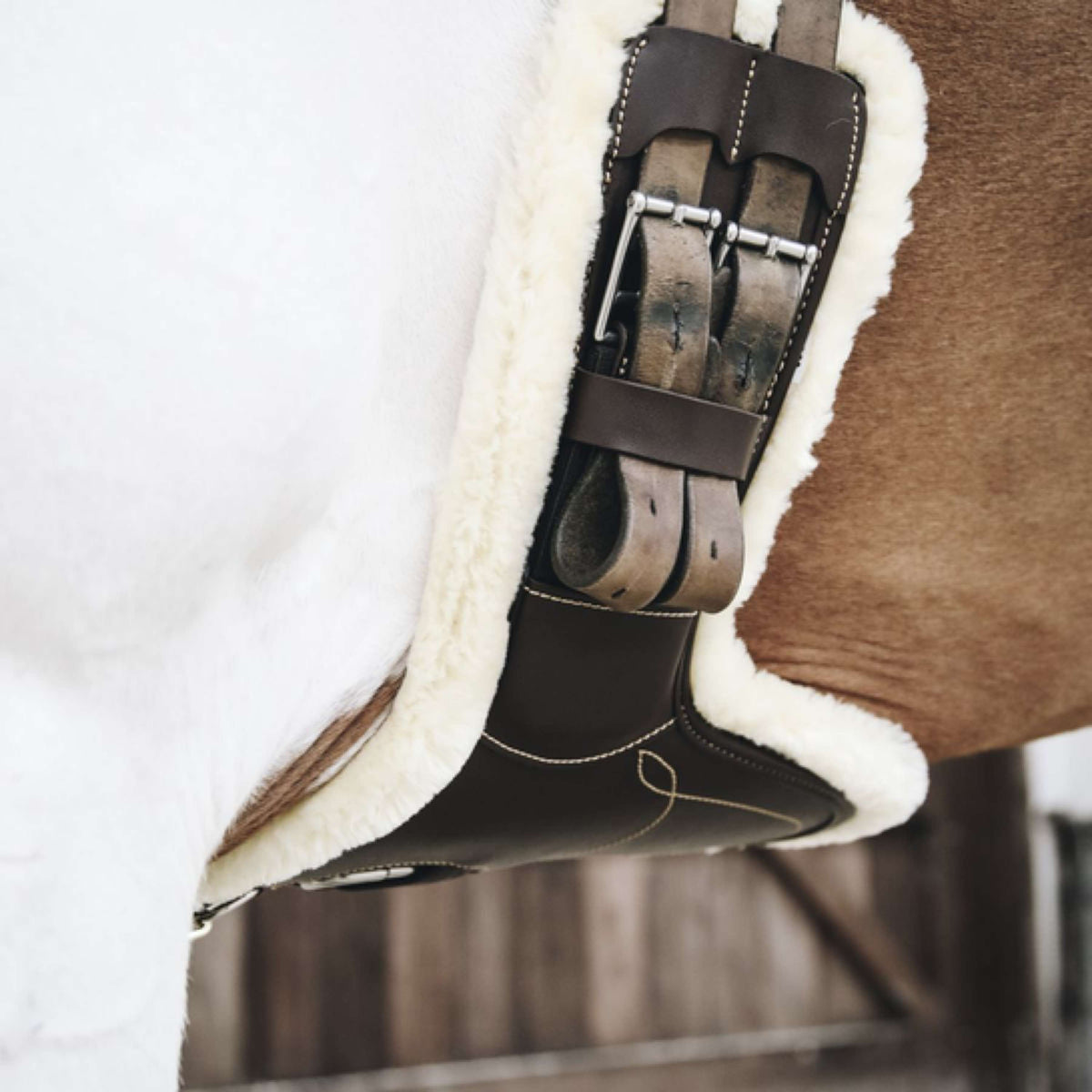 Kentucky Horsewear Cincha de Salto Marron