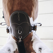 Kentucky Horsewear Cincha de Salto Marron
