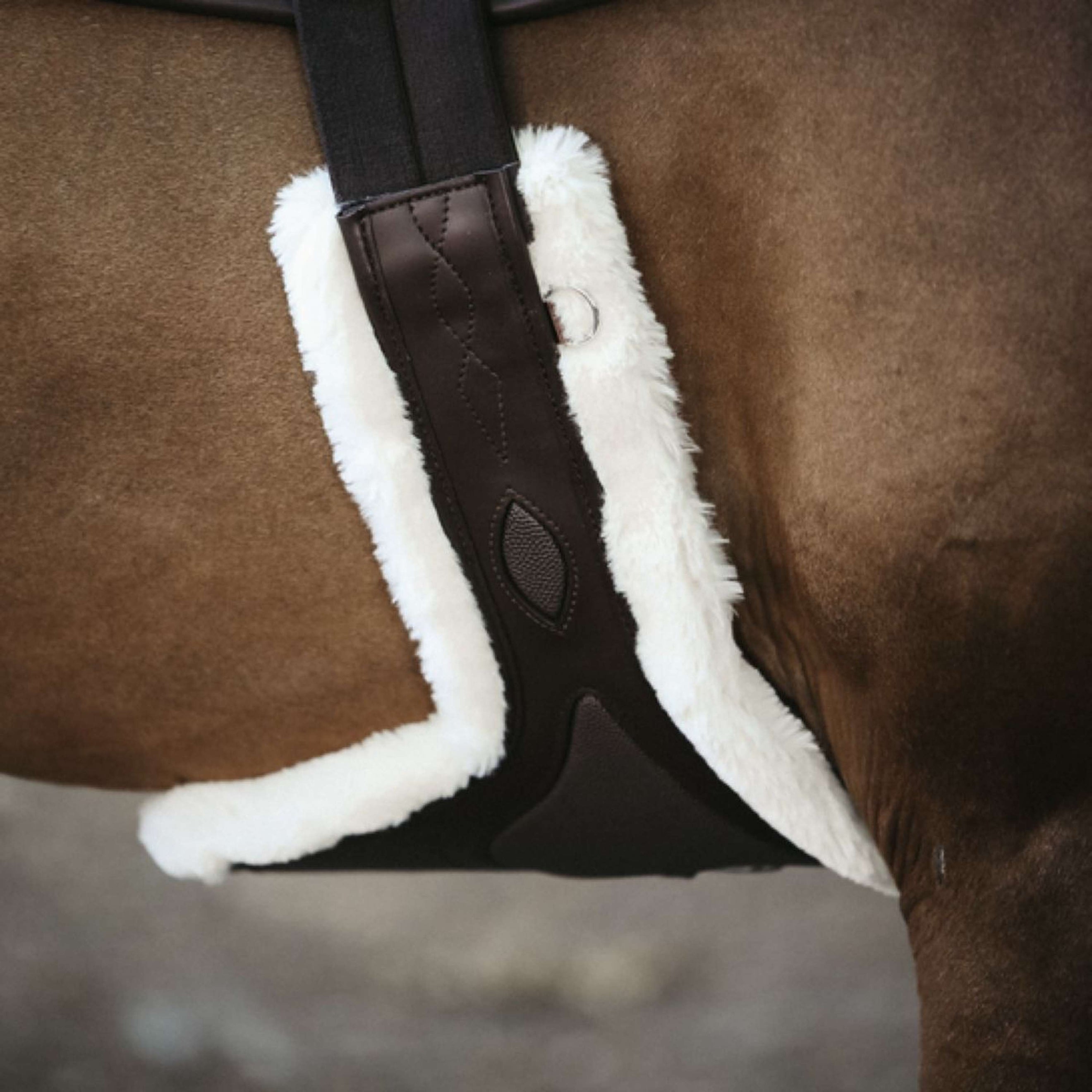 Kentucky Horsewear Cincha de Salto Marron