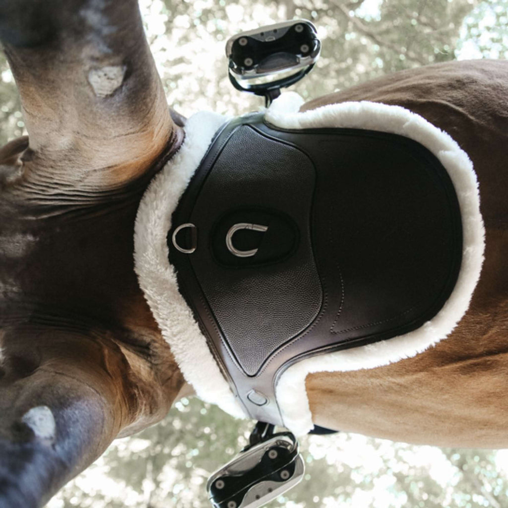 Kentucky Horsewear Cincha de Salto Marron