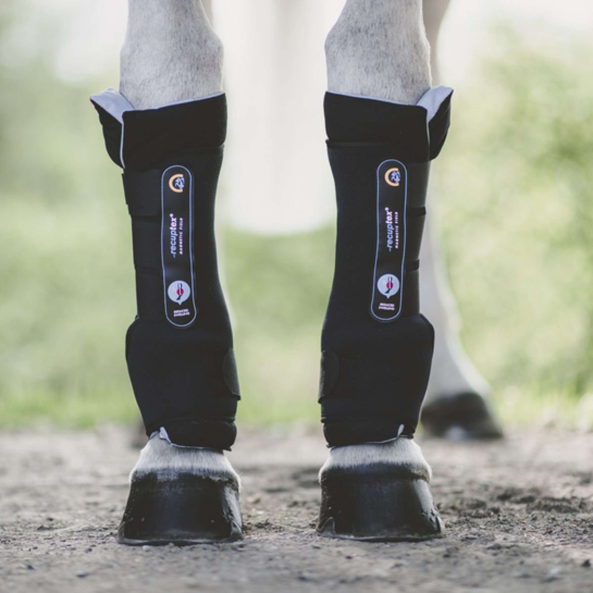 Kentucky Horsewear Stable Boots Recuptex Magnetic Negro