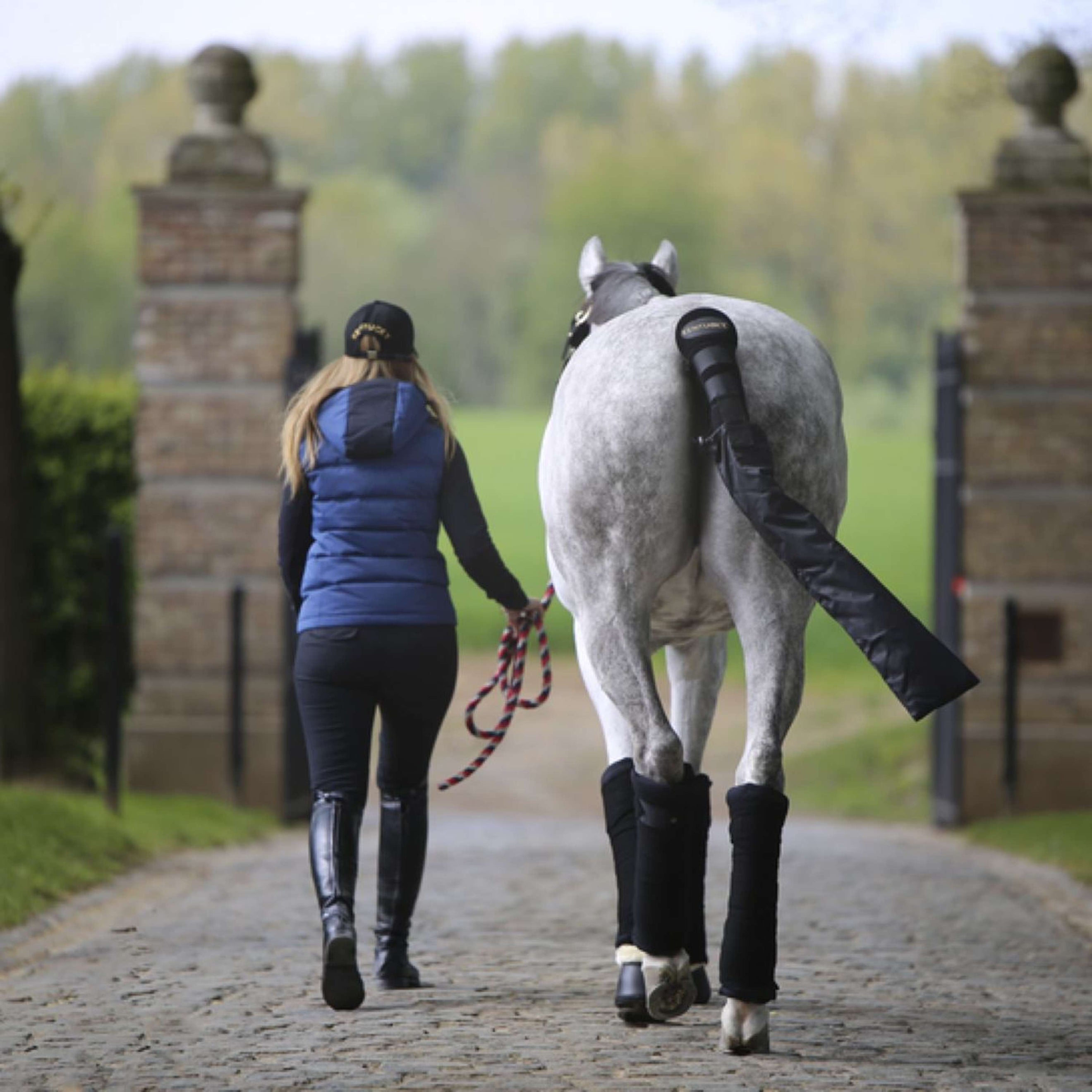 Kentucky Horsewear Almohadilla de vendaje estable Negro