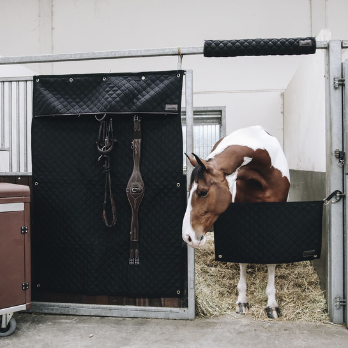Kentucky Horsewear Stable Guard Negro