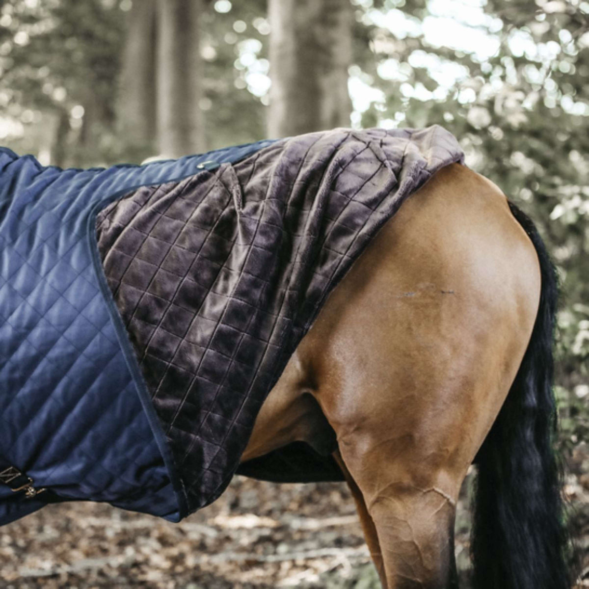 Kentucky Horsewear Manta de Establo 0g Navy
