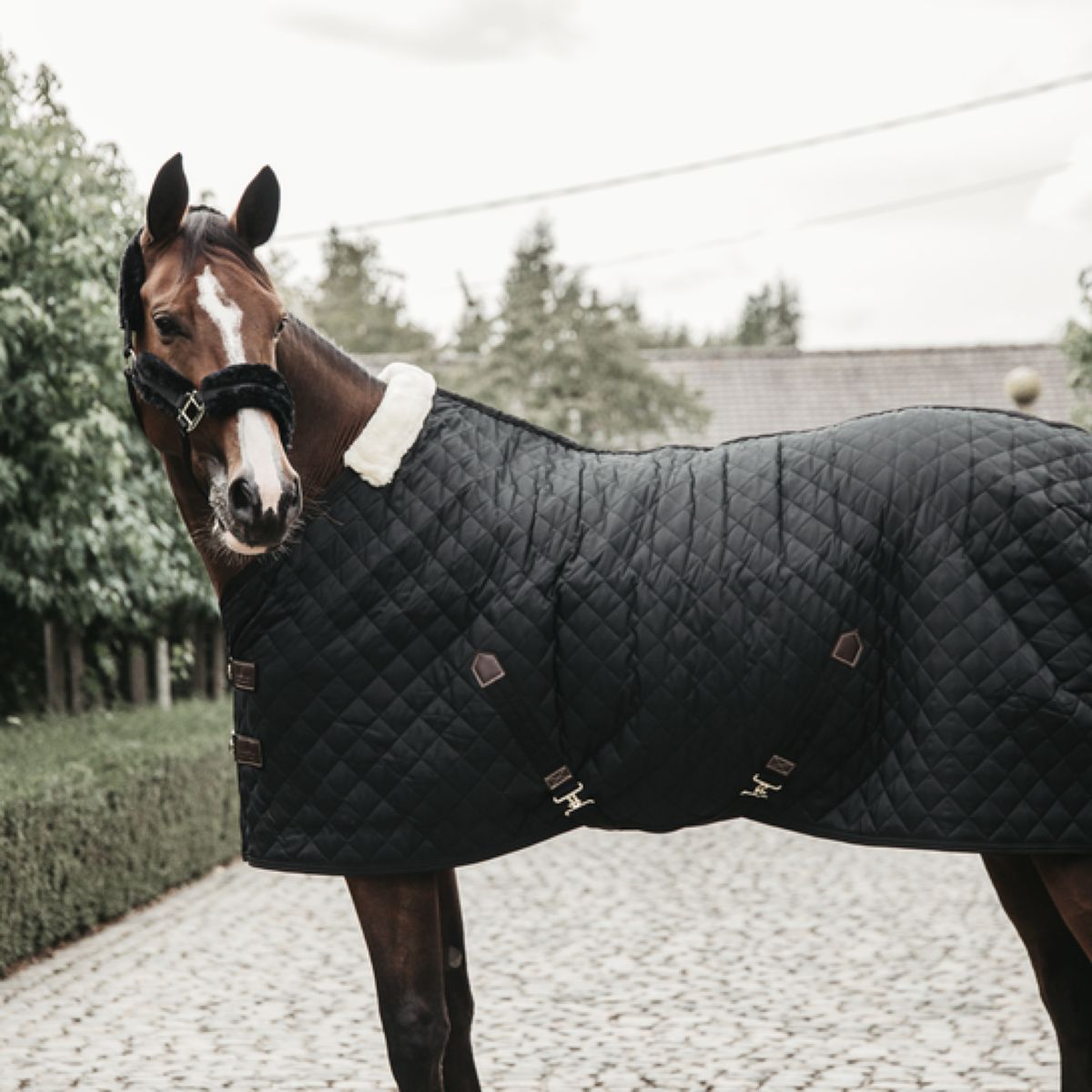 Kentucky Horsewear Manta de Establo 400g Negro