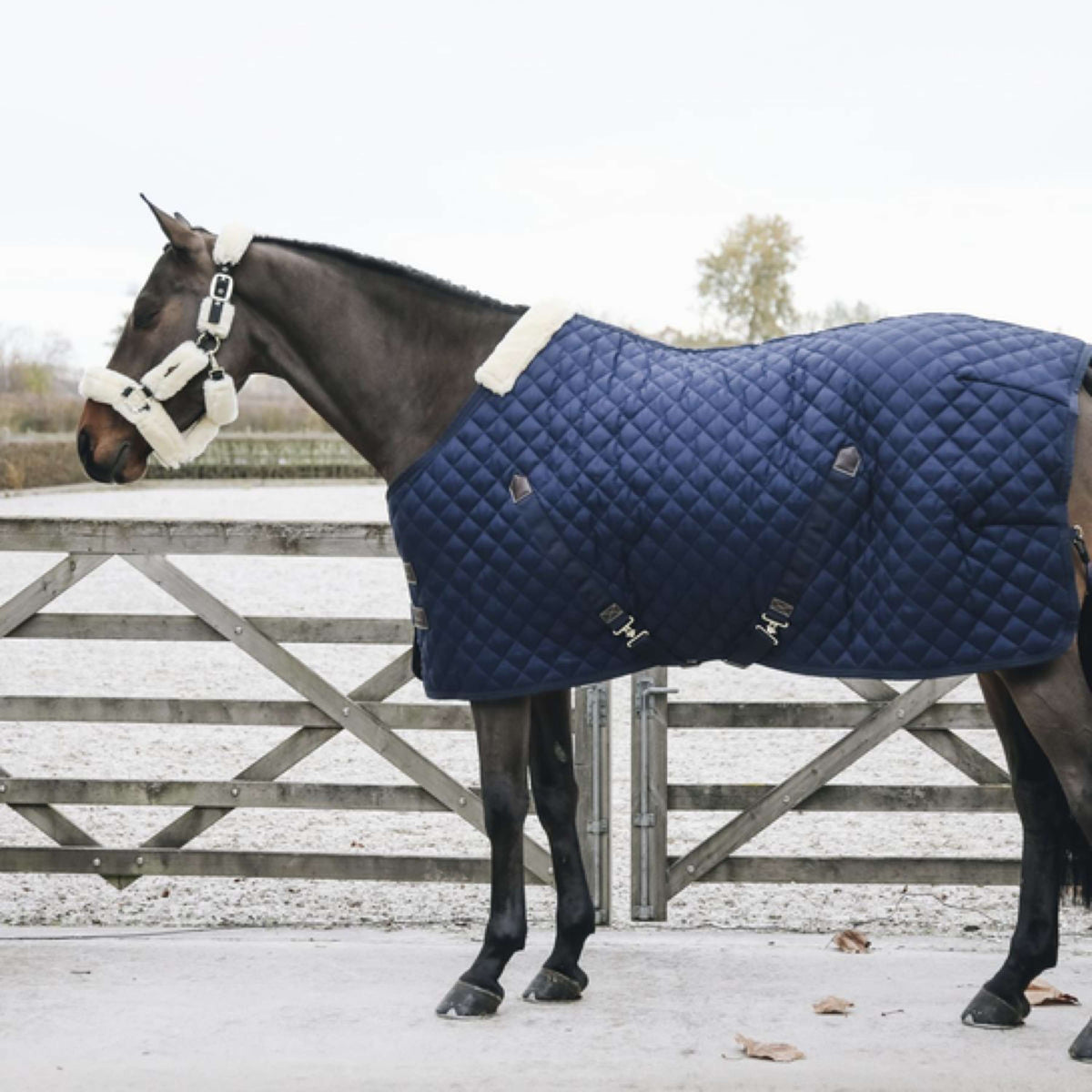 Kentucky Horsewear Manta de Establo 400g Navy