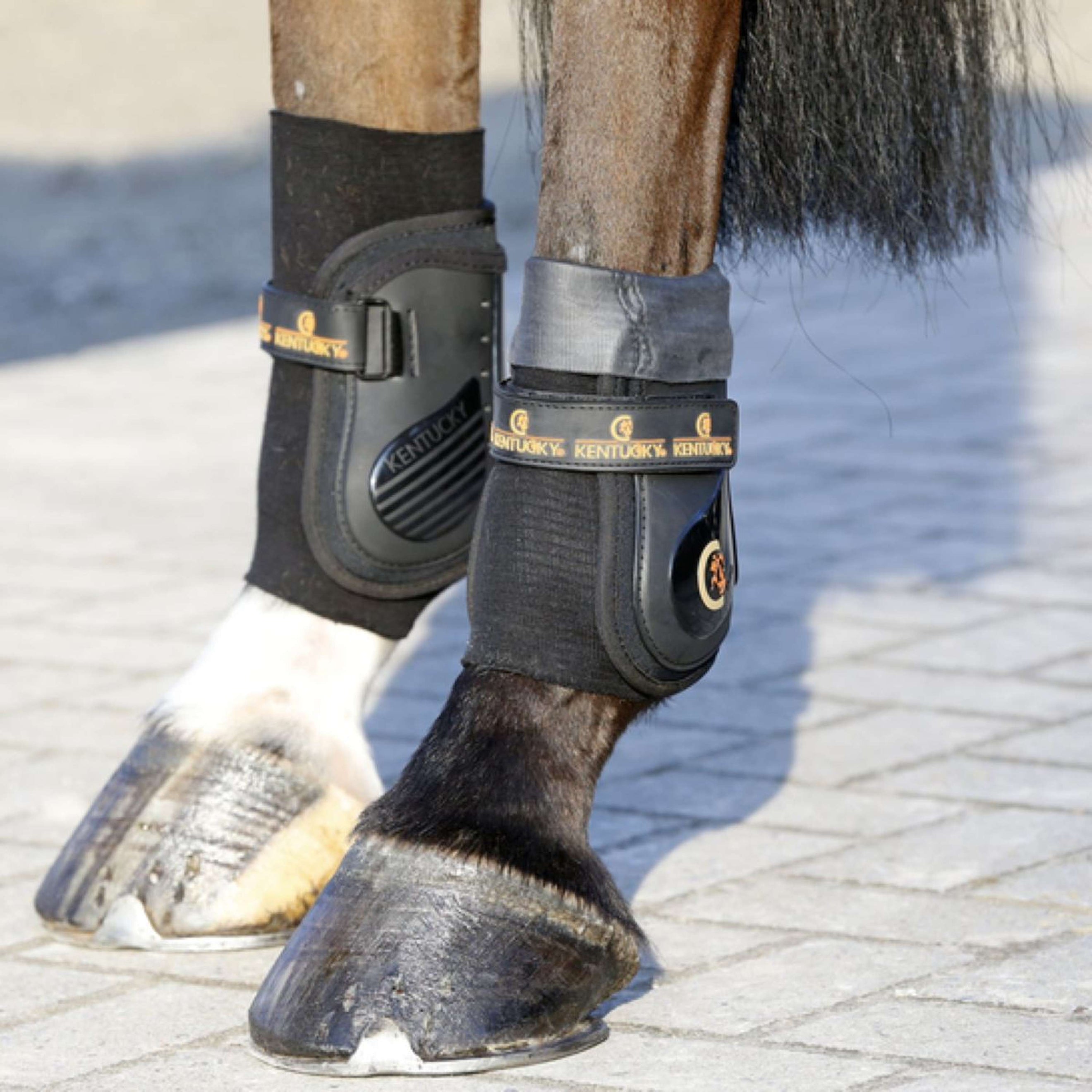 Kentucky Horsewear calcetines de montar Tendon Grip Gel Negro