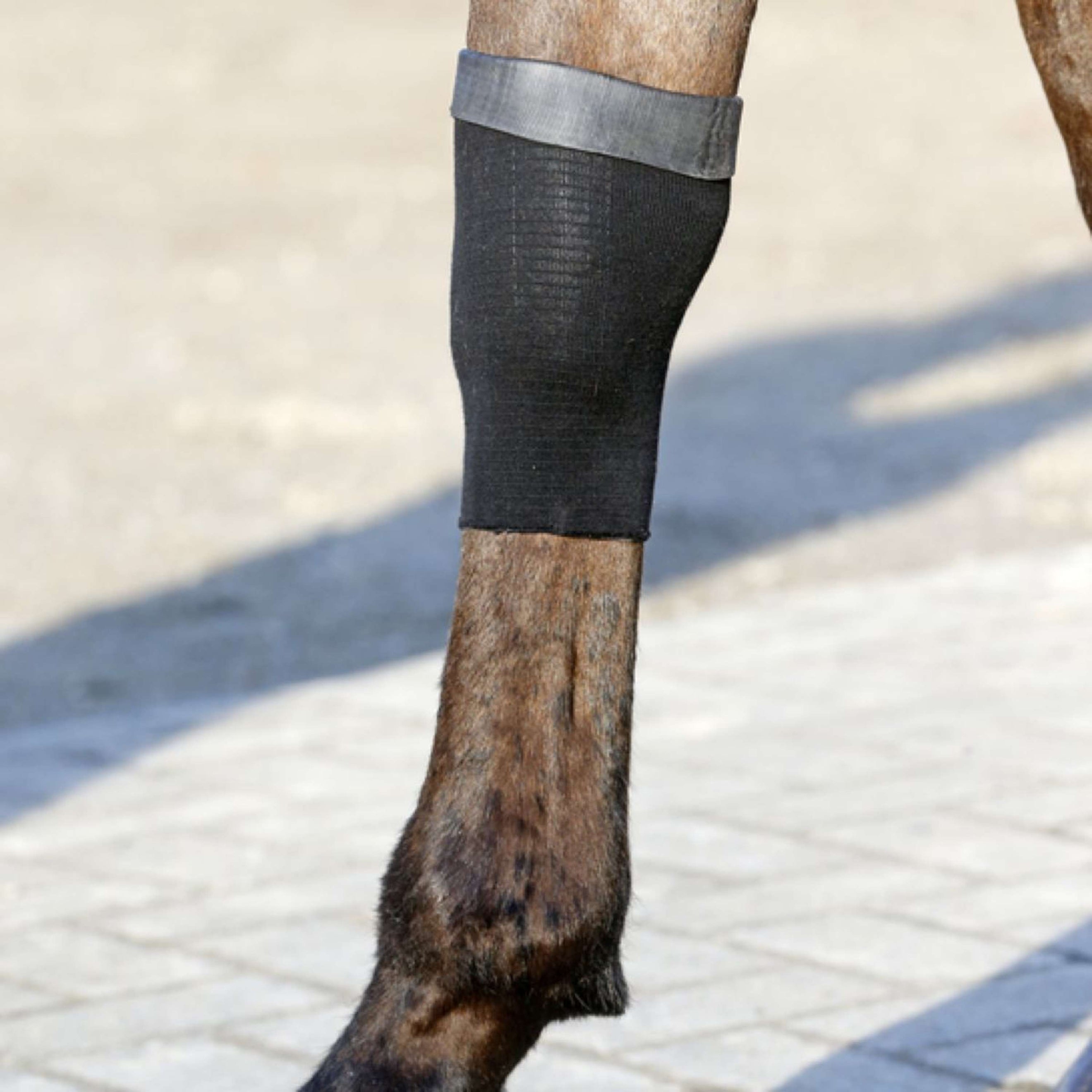 Kentucky Horsewear calcetines de montar Tendon Grip Gel Negro