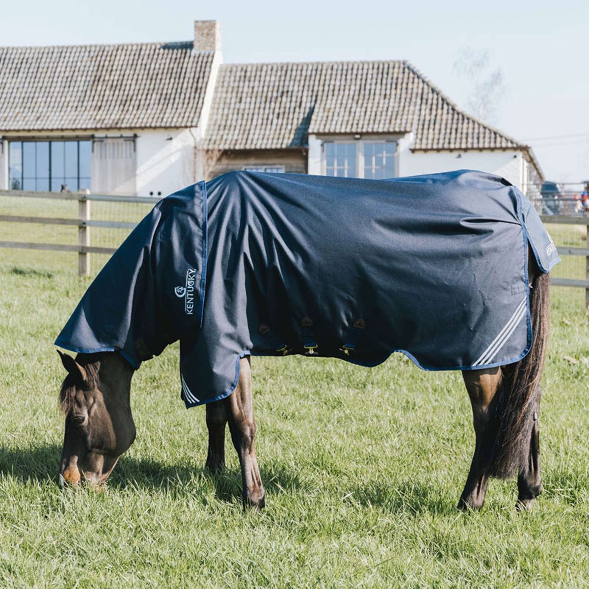 Kentucky Turnout Rug All Weather Comfort Waterproof 100g Navy