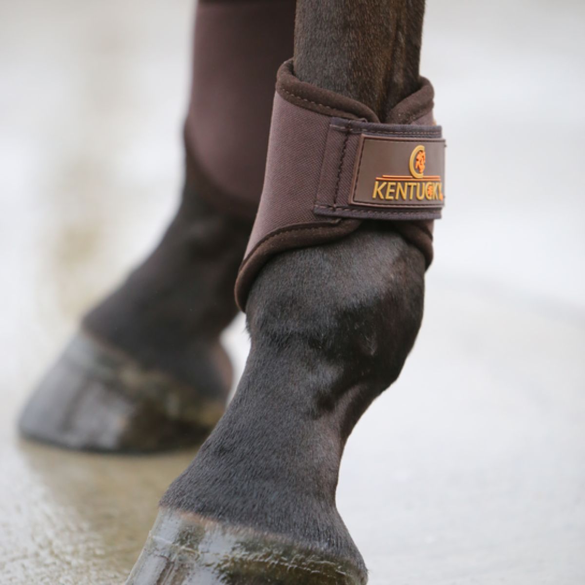 Kentucky Horsewear Turnout Boots 3D Spacer Corto Marron