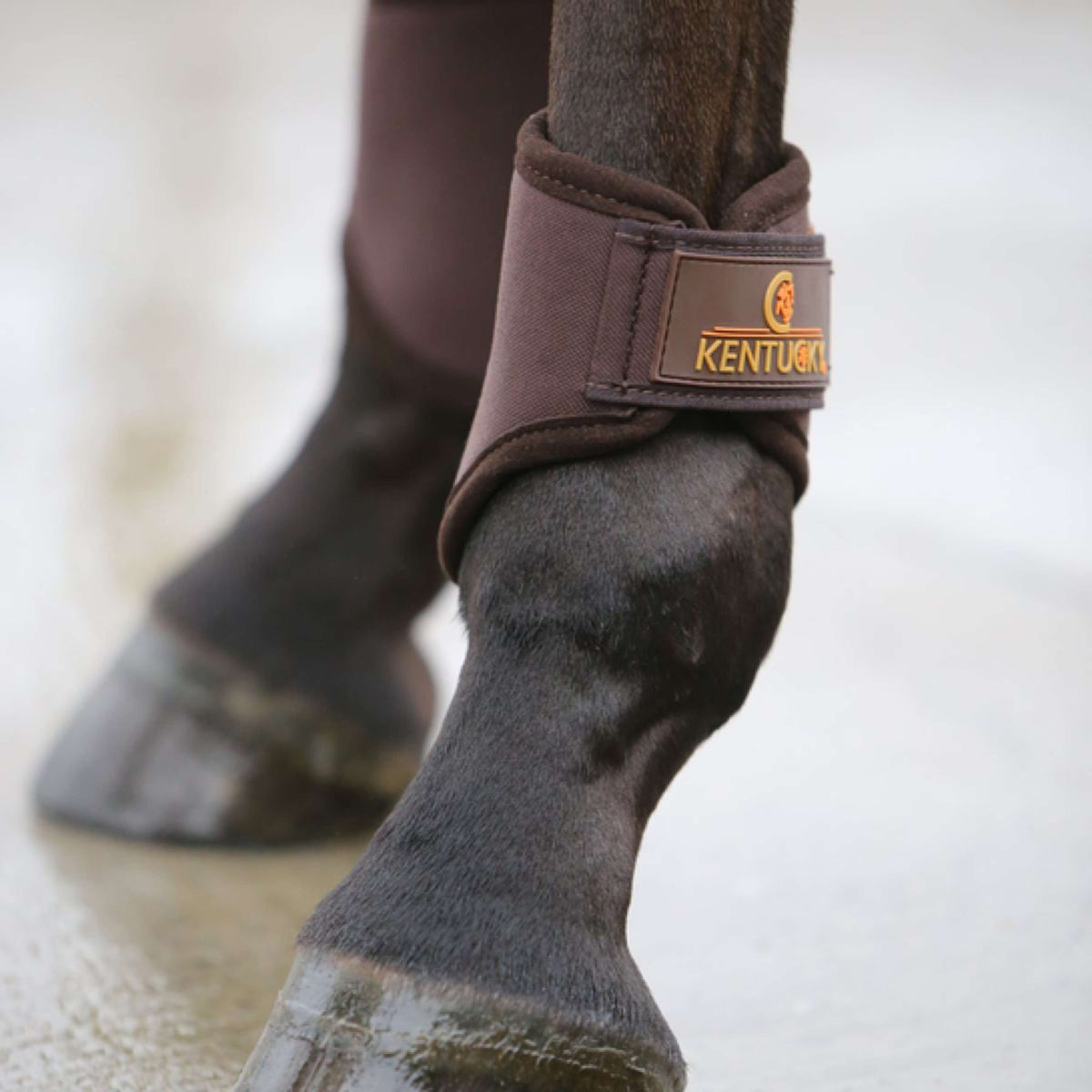 Kentucky Horsewear Turnout Boots 3D Spacer Corto Marron