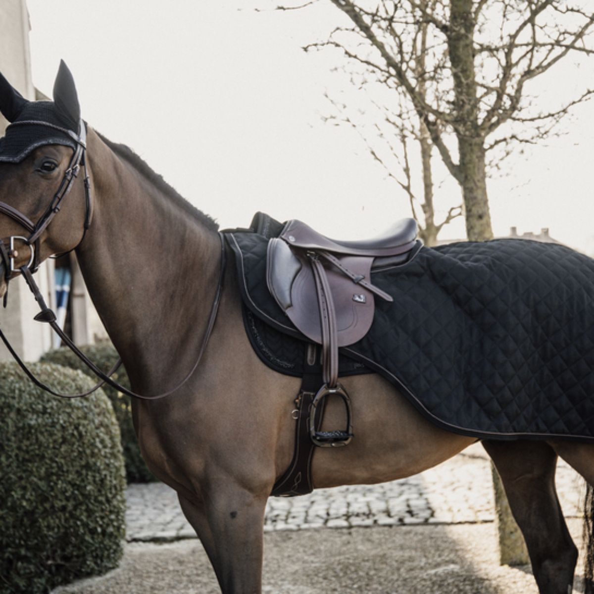 Kentucky Horsewear Manta de ejercicio 160g Negro