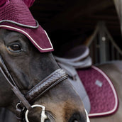 Kentucky Horsewear Bonete para Orejas Wellington Velvet Bordeaux