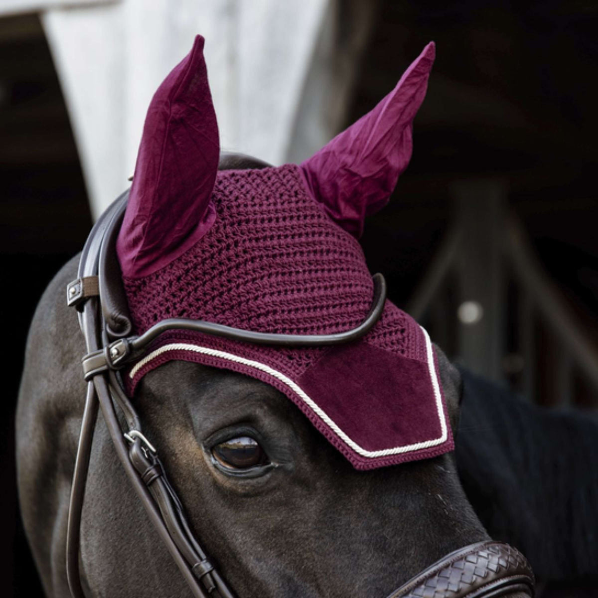 Kentucky Horsewear Bonete para Orejas Wellington Velvet Bordeaux
