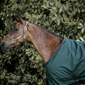 Kentucky Horsewear Manta de Invierno All Weather 160g Verde Oscuro