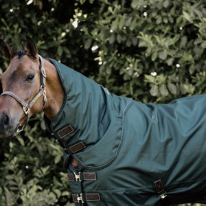 Kentucky Horsewear Manta de Invierno All Weather 160g Verde Oscuro