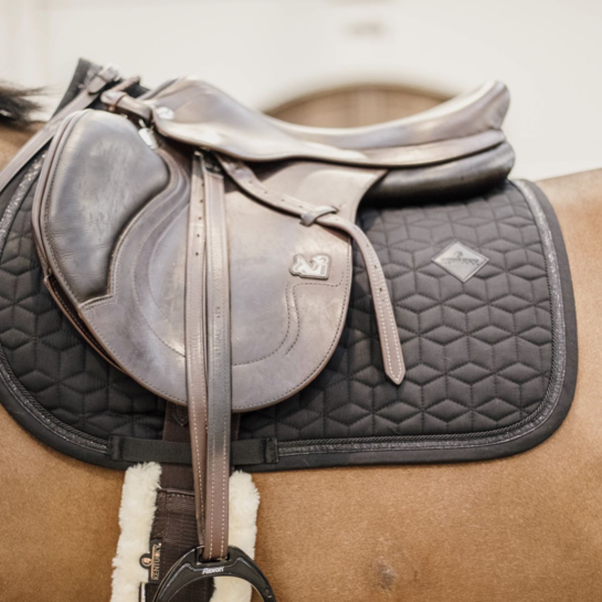 Kentucky Horsewear Mantilla Negro