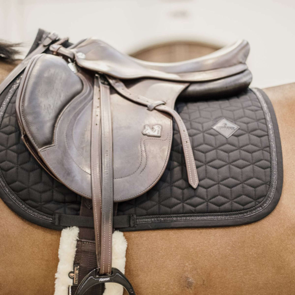 Kentucky Horsewear Mantilla Negro