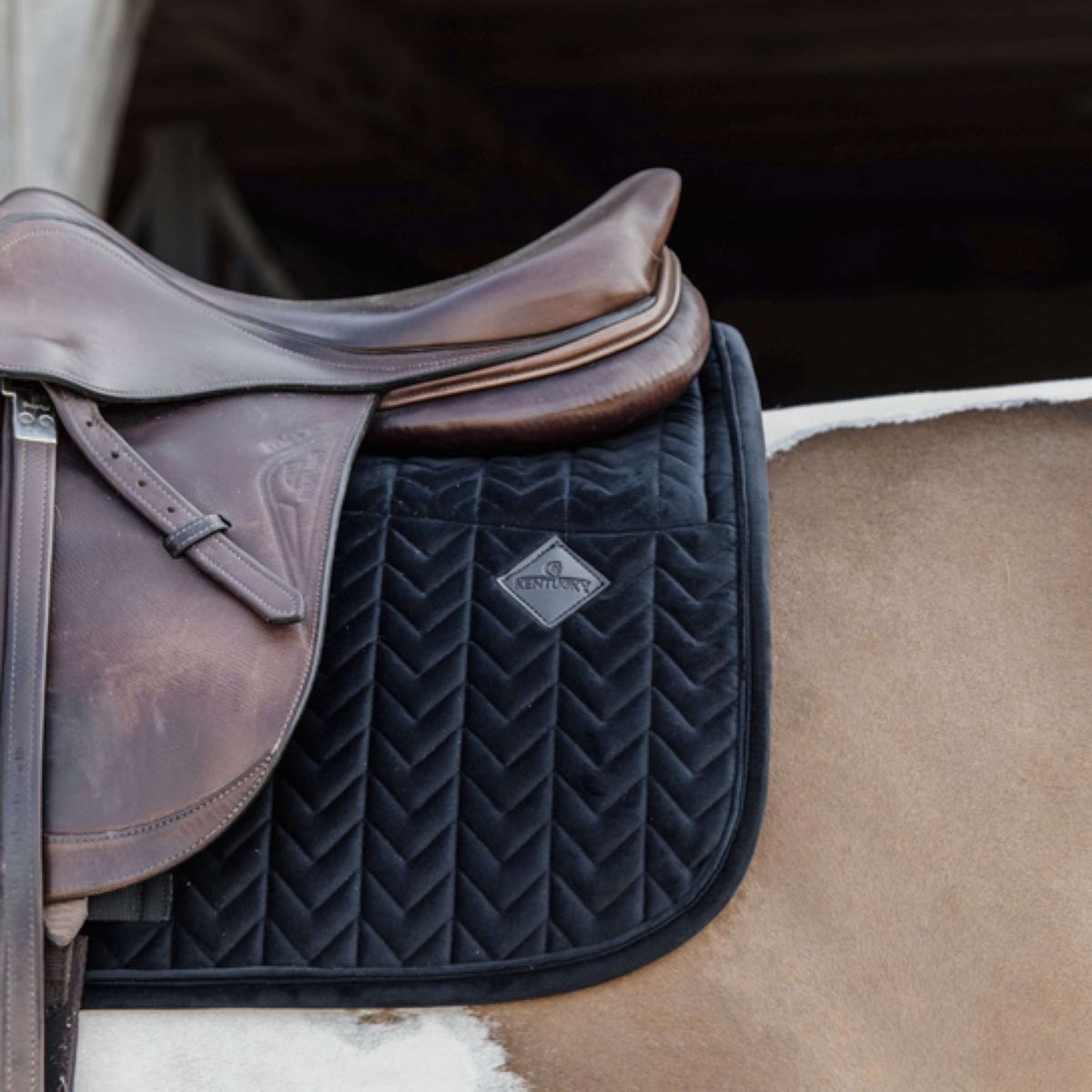 Kentucky Horsewear Mantilla Skin Friendly Velvet Springen Negro