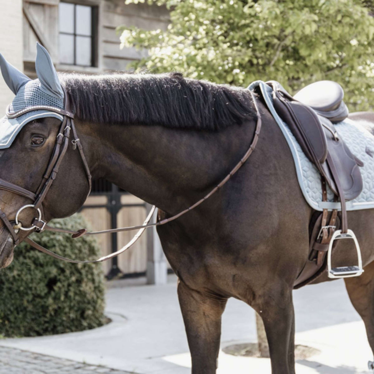 Kentucky Horsewear Mantilla de Doma Clásica Velvet Azul claro