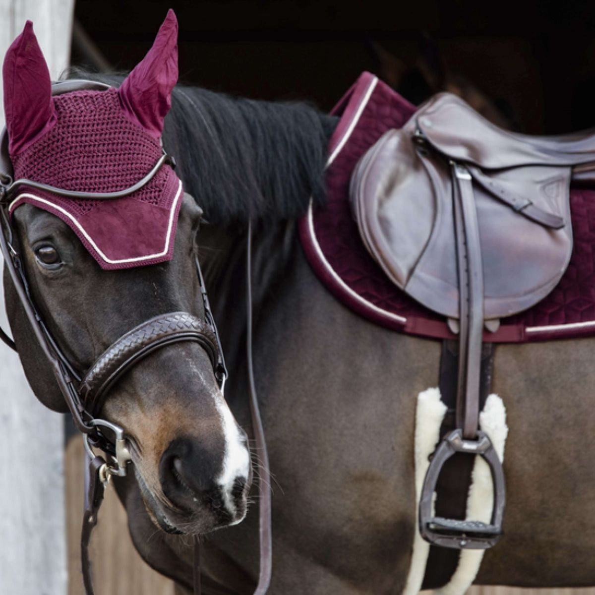 Kentucky Horsewear Mantilla Velvet Springen Bordeaux