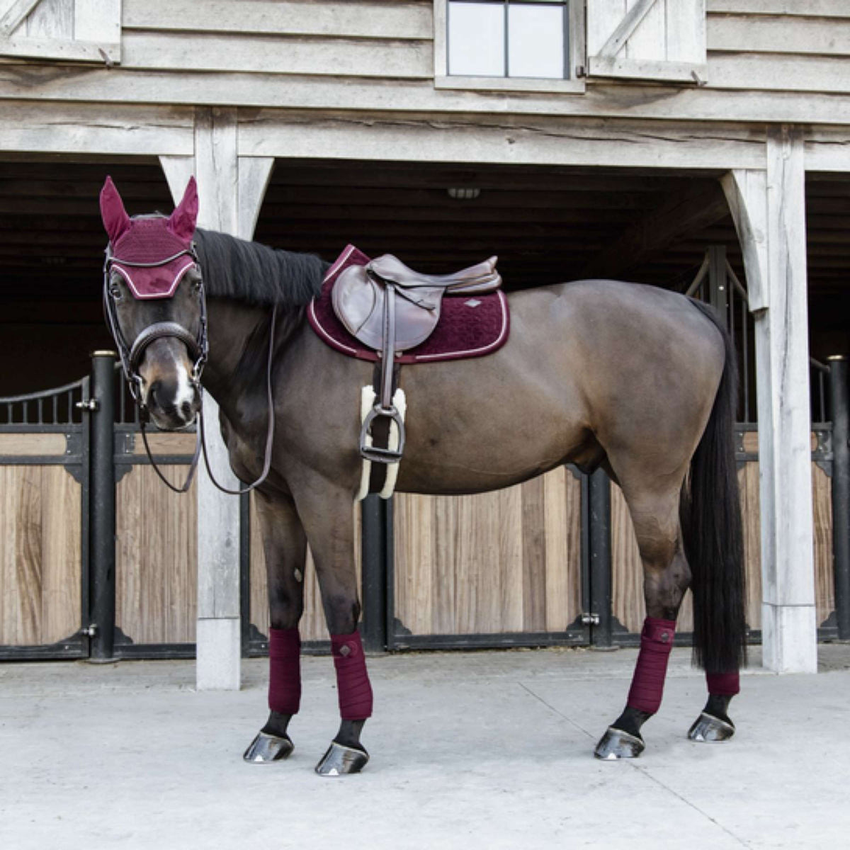 Kentucky Horsewear Mantilla Velvet Springen Bordeaux