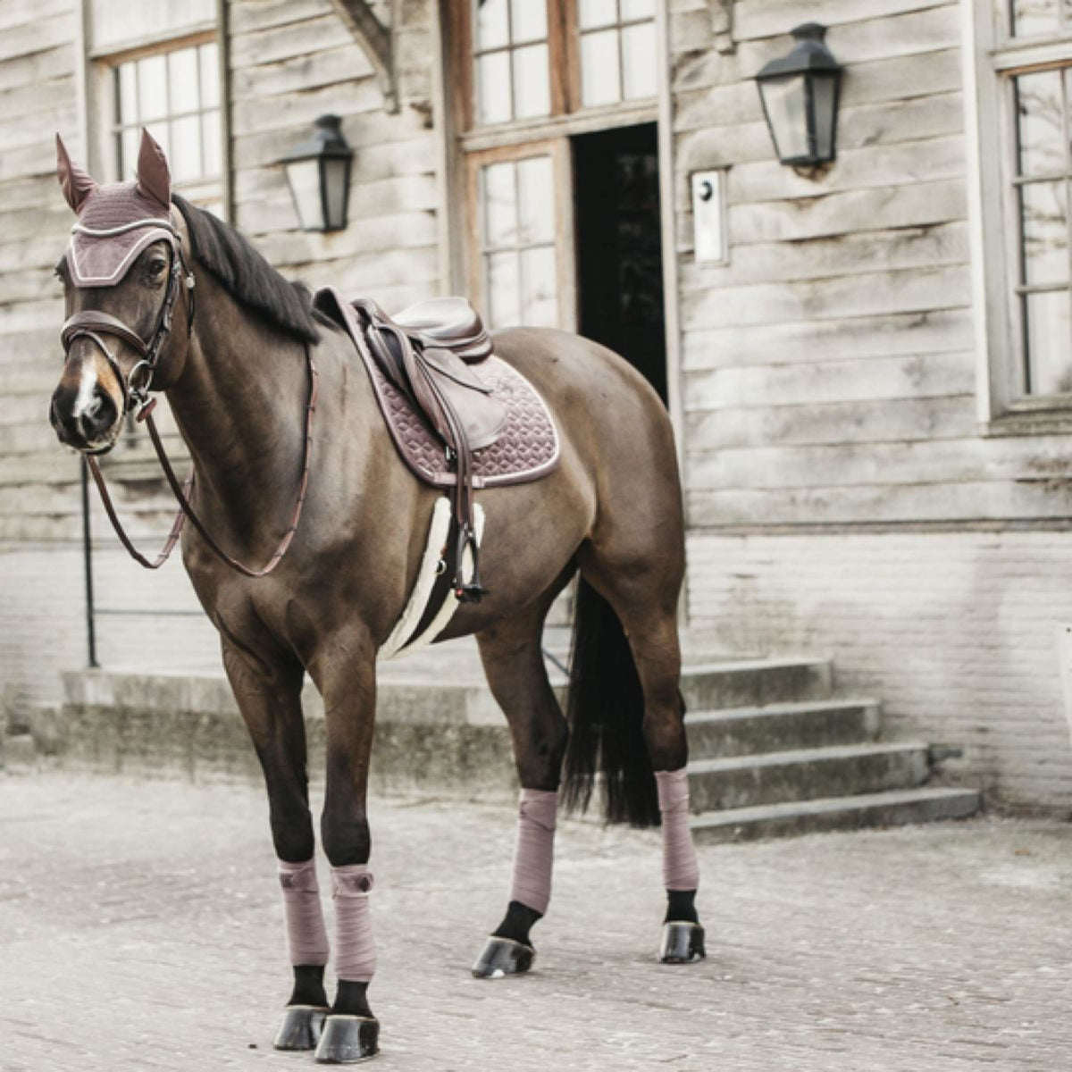 Kentucky Horsewear Mantilla Velvet Springen Lila