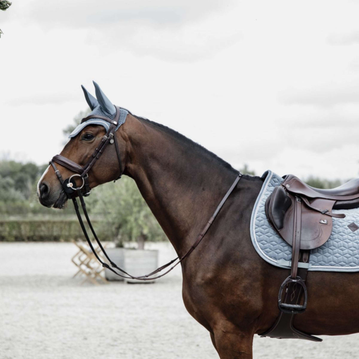 Kentucky Horsewear Mantilla de Salto Velvet Azul claro