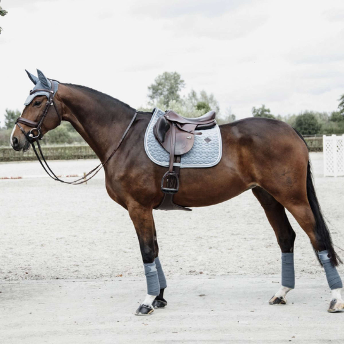 Kentucky Horsewear Mantilla de Salto Velvet Azul claro