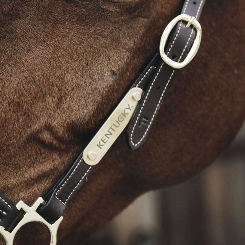 Kentucky Horsewear Placa de Nombre para el cabestro Gold