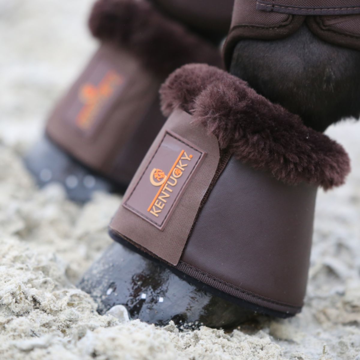 Kentucky Horsewear Botas de Campana Marron