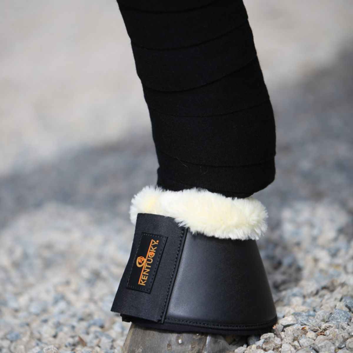 Kentucky Horsewear Botas de Campana Negro