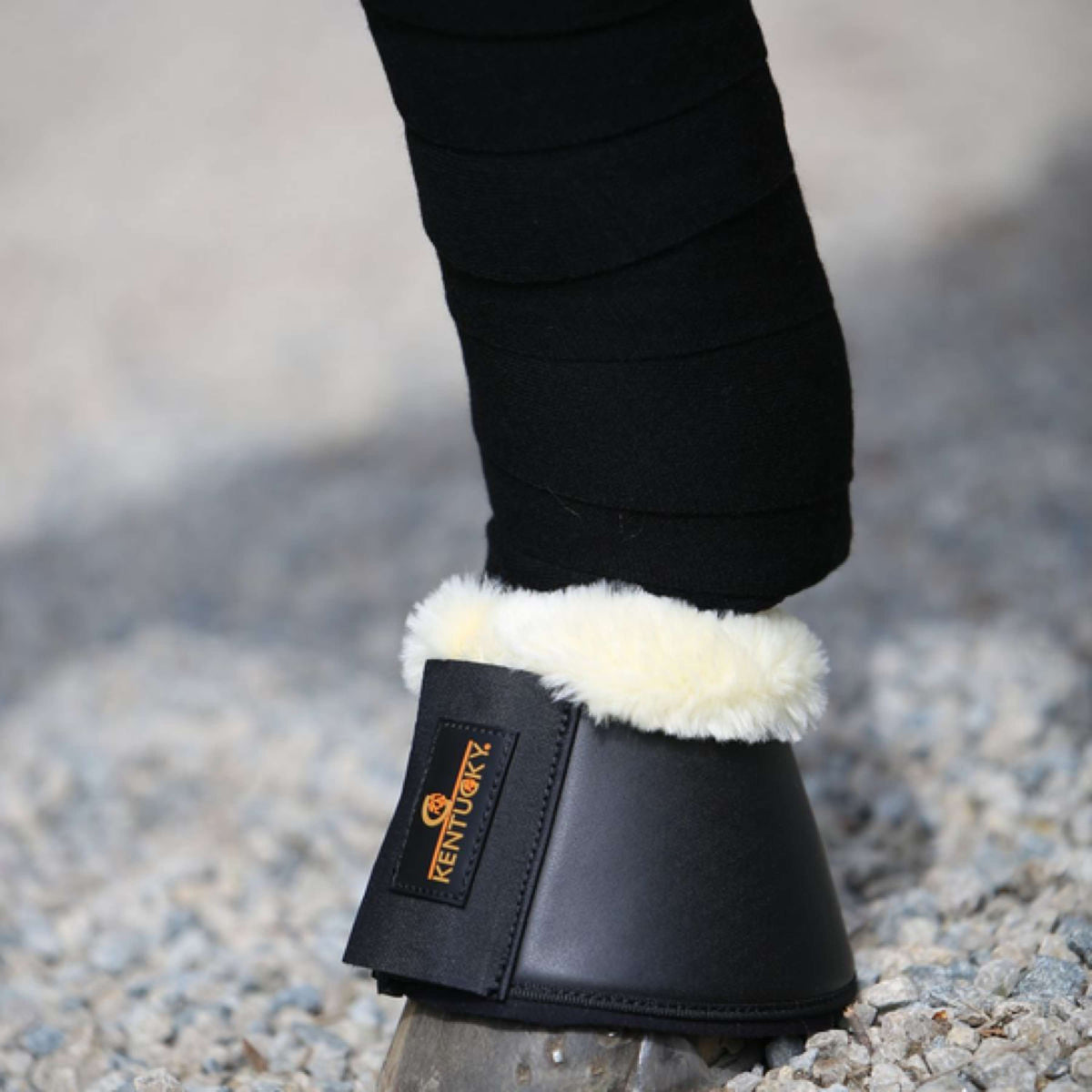 Kentucky Horsewear Botas de Campana Negro