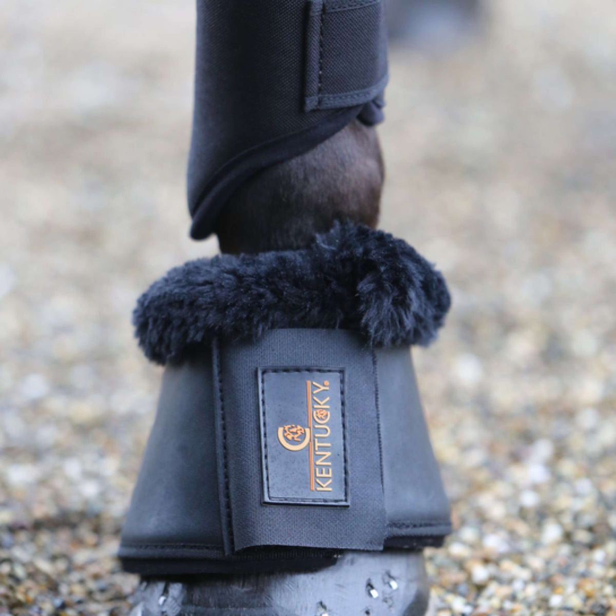 Kentucky Horsewear Botas de Campana Negro/Negro