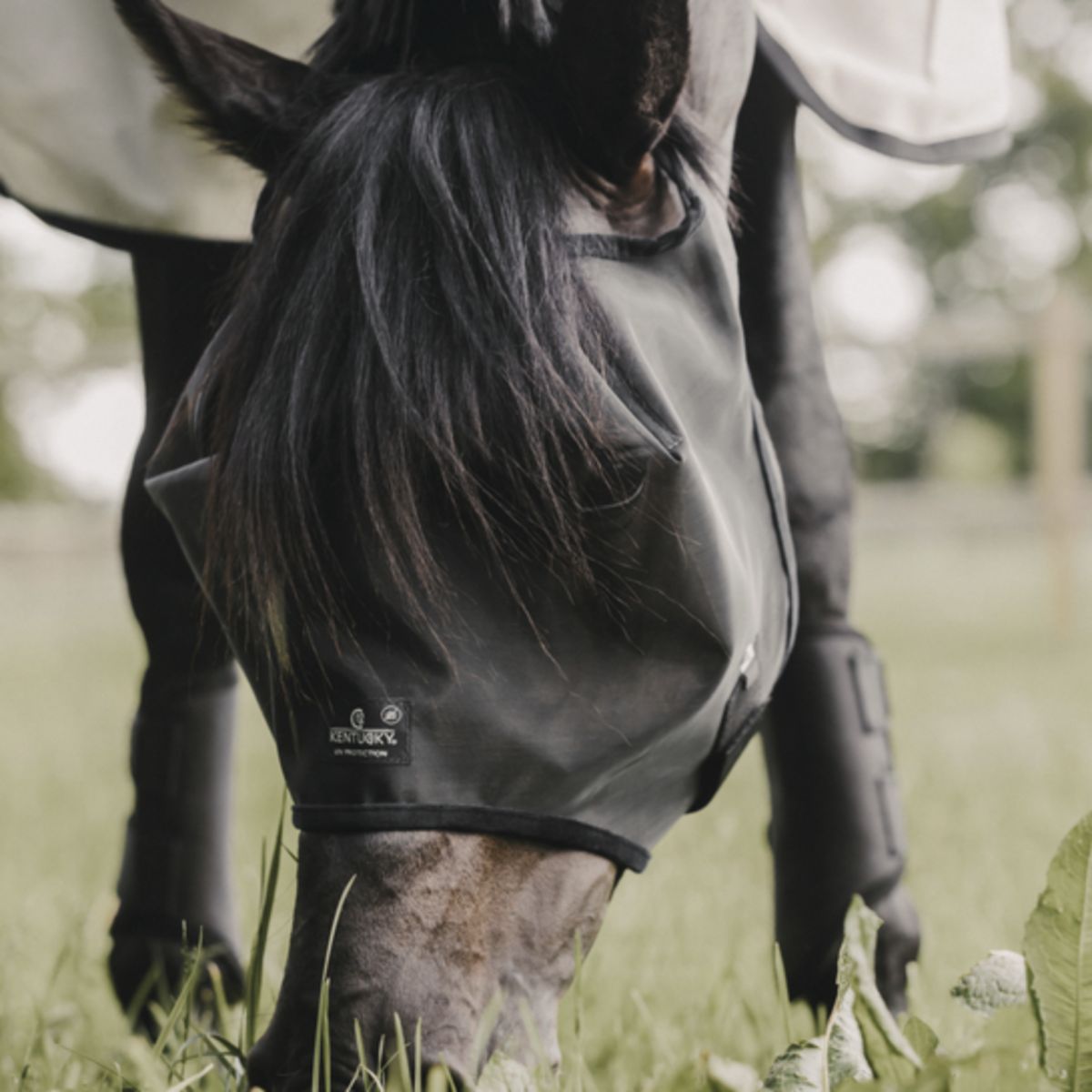 Kentucky Horsewear Máscara para Moscas Classic Negro
