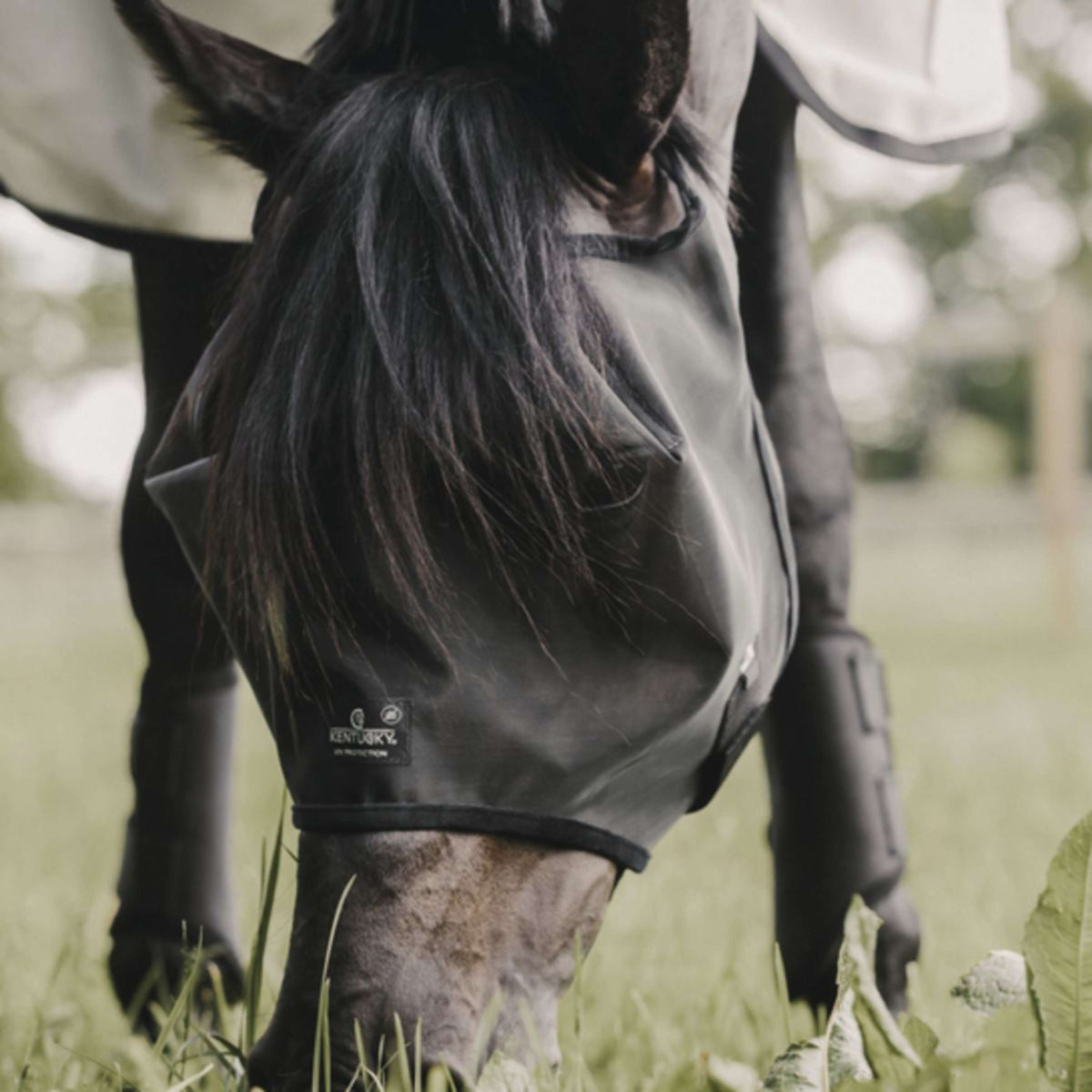 Kentucky Horsewear Máscara para Moscas Classic Negro