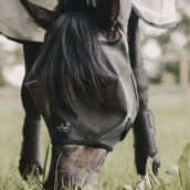 Kentucky Horsewear Máscara para Moscas Classic Negro