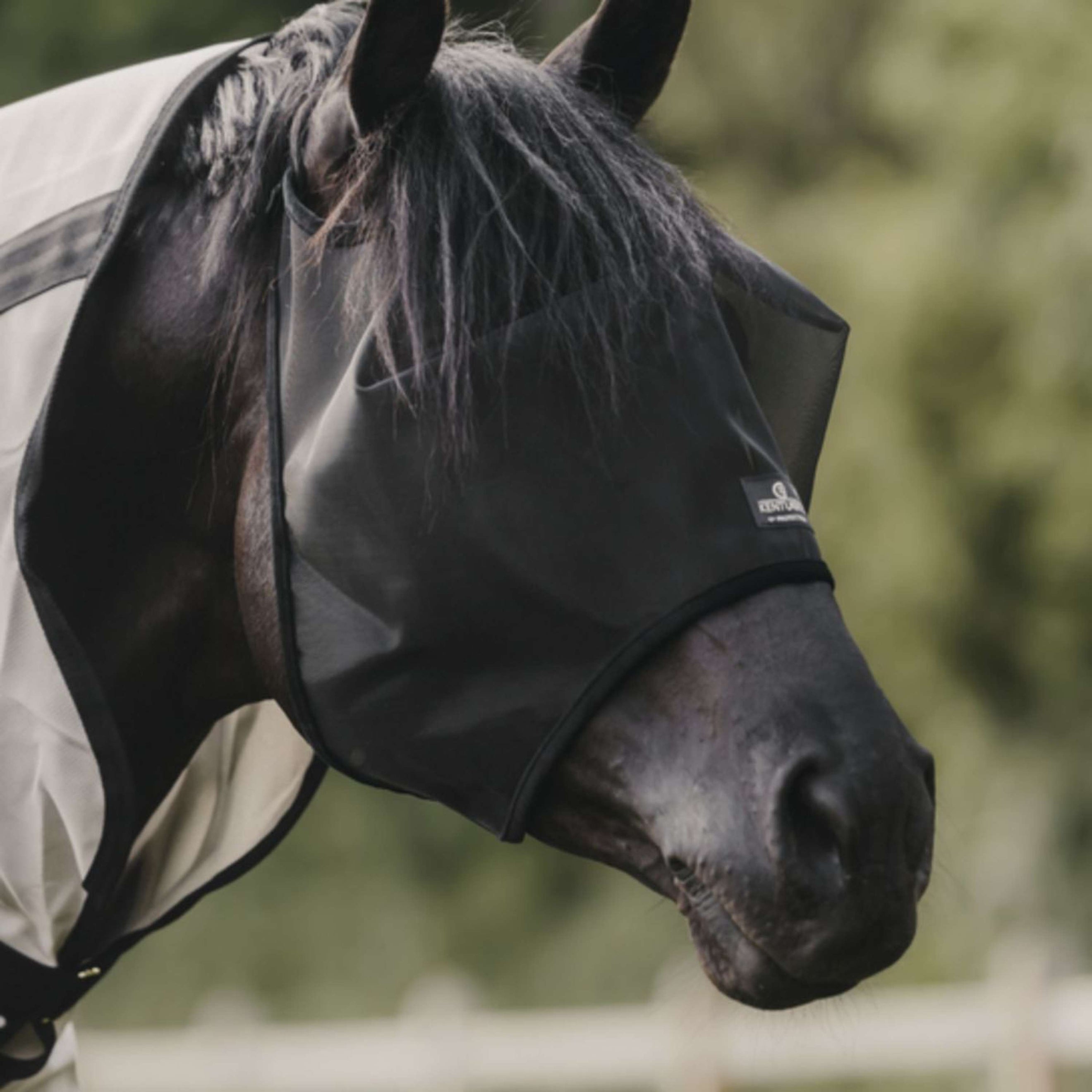 Kentucky Horsewear Máscara para Moscas Classic Negro Kentucky Horsewear Máscara para Moscas Classic Negro